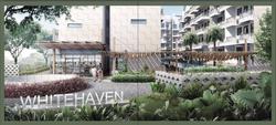 Whitehaven (D5), Apartment #147340862